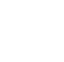 BD Global Carriers